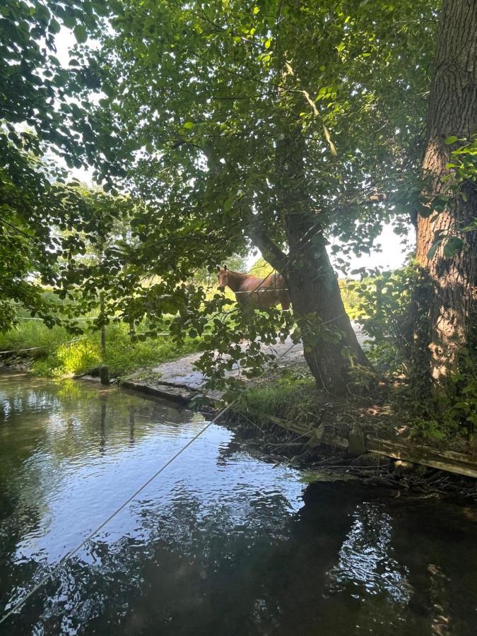 Gite « Le Moulin » A 2 Pas De La Mer Saint-Martin-le-Gaillard Exteriör bild